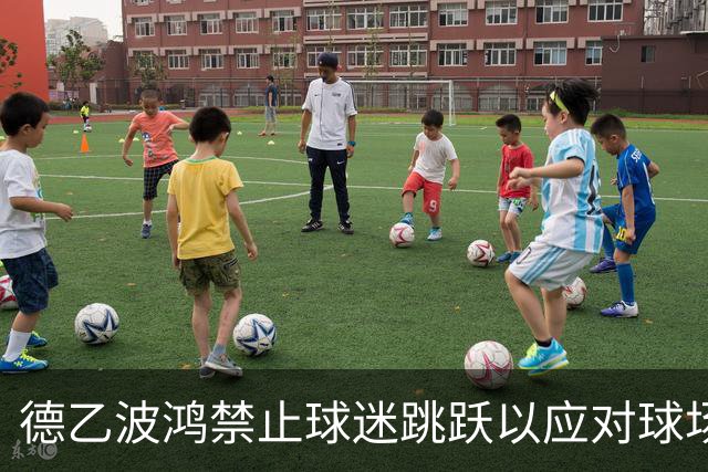 德乙波鸿禁止球迷跳跃以应对球场震动问题
